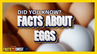 Top 10 Surprising Facts About Eggs  Facts Chest [upl. by Haleemak]