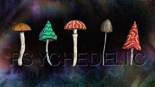 Psychedelic Visuals on Deep Relaxing Music 🍄 Mushroom Trippy Videos 4K [upl. by Jereme]