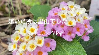 秋まで咲いてほしい｜梅雨入り直前の植えつけ [upl. by Eniahs]