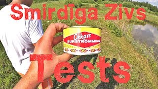 Smirdīgākās Zivs Tests [upl. by Noell]