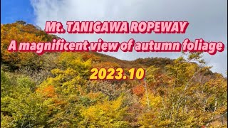 MtTanigawa Ropeway autumn foliage [upl. by Gnat268]