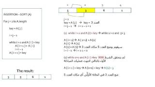 شرح Insertion  Sort Algorithm الدرس 1 [upl. by Yrag463]