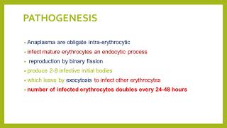 LECTURE ON ANAPLASMOSIS [upl. by Jp]