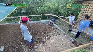 PAKYAW VS ARAWAN Ano MAS MAGANDA Para sa POINT of VIEW ng FARM OWNER [upl. by Patin607]