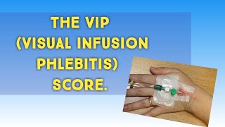 VIP score  visual infusion phlebitis score size of cannula and color code [upl. by Lekram]