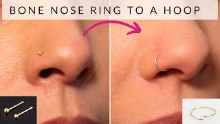 How to change bone nose ring to hoop nose ring [upl. by Marga946]