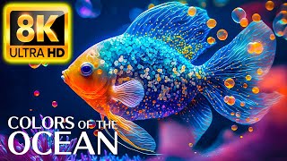 Colors Of The Ocean 8K ULTRA HD  The best sea animals for relaxing and soothing music 2 [upl. by Ardeid]