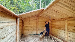 Autumn has come to the dugout WE are BUILDING A COZY dugout in A SECRET forest Making a roof [upl. by Aurore]