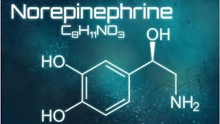 ¿Qué es y para qué sirve la norepinefrina  Maha TV [upl. by Theron]