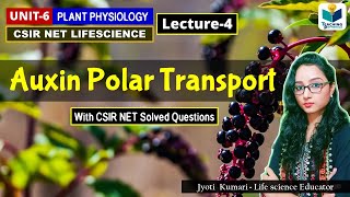 TRANSPORT OF AUXIN  PHYTOHORMONE PART4CSIR NET PLANT BIOLOGY [upl. by Ettener222]