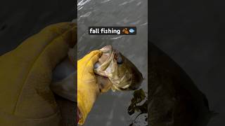 Cold Minnesota Fall Fishing 🎣 minnesota minneostafishing fall goviral [upl. by Hareemas520]