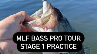 MLF Bass Pro Tour Practice Toledo Bend PrespawnWinter Bass Fishing [upl. by Narok]