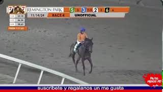 hipismo en vivo 141124 [upl. by Hooper477]