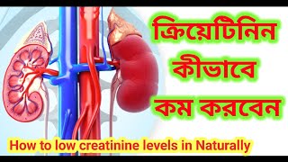 ক্রিয়েটিনিন কমানোর উপায়  How to low creatinine levels in naturally  ক্রিয়েটিনিন creatinine [upl. by Cramer]