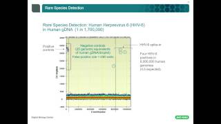 Precise Counting of Targeted Nucleic Acids Has Never Been Easier [upl. by Ahseikram]