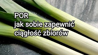 POR jak sobie zapewnić ciągłość zbiorów [upl. by Drapehs]