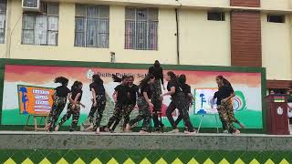 patriotic mashup dance [upl. by Adnale]