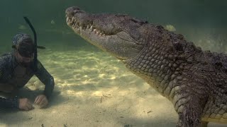 Swimming With Wild Crocodiles  FULL DOCUMENTARY [upl. by Traci264]