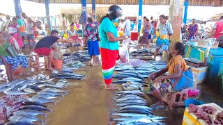 Fresh Seafood Market  Halawatha Fish Market [upl. by Auqinehs]