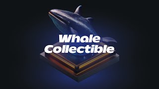 Swim with the Whales Understanding Cryptos Big Players [upl. by Nhepets]