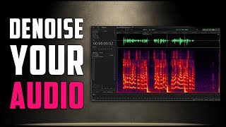 How To Denoise Your Audio [upl. by Kalli]