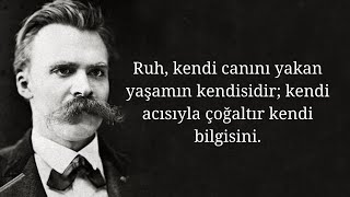 Ayaktakımı üzerine  Friedrich Nietzsche [upl. by Aenahs917]