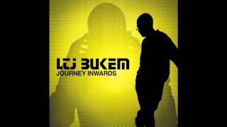 LTJ Bukem  Inner Guidance [upl. by Tebzil]