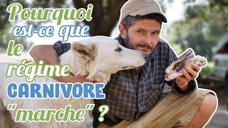 Pourquoi estce que le régime carnivore quotmarchequot [upl. by Errehs]