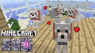 CHOOSE MY DOGS NAMES  Minecraft Evolution 7 [upl. by Sikes324]