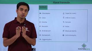 Class 11th – Floral Formula – Introduction  Morphology of Flowering Plants  Tutorials Point [upl. by Abla]