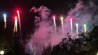 Happily Ever After Fireworks at Magic Kingdom [upl. by Donni615]