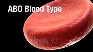 ABO Blood Type [upl. by Aldred]