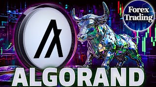 ALGORAND  Is This a Bullish Pattern   ALGORAND Price Prediction  ALGORAND News Now [upl. by Fritzie]