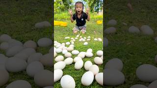 Too many eggs on the ground camping bushcraft outdoors funny shorts [upl. by Ennairac]