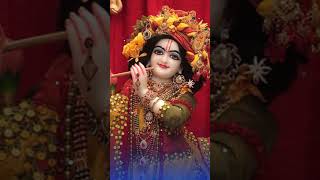 Radha Rani status shorts radharani premanandjimaharaj shreeradhakrishna radheradhe [upl. by Dewees]