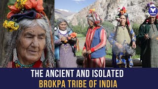 High in the Himalayas The isolated Brokpa people of Ladakh [upl. by Yuk236]