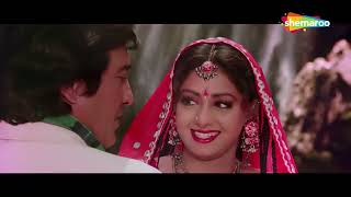 Tere Bina Jag Lagta Hai Soona  Farishtay  Vinod Khanna  Sridevi  Lata Mangeshkar  90s Hit Song [upl. by Ezar]