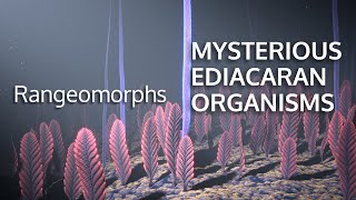 MYSTERIOUS EDIACARAN ORGANISMS  Rangeomorphs [upl. by Shaer370]