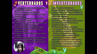 VERTEBRADOS VS INVERTEBRADOS [upl. by Dlonyar]