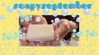 Melt amp Pour Soap Making made EASY [upl. by Akimik93]