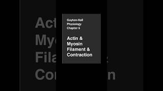 GuytonHallPhysiologyChapter 6Actin amp Myosin Filament amp Contraction [upl. by Korney803]