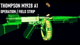 How a Thompson M1928 A1 Works  World Of Guns  Operation and Field Strip [upl. by Roumell113]