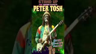 Peter Tosh Get Up Stand Up [upl. by Alameda]