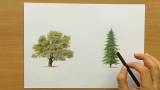 How to Draw Trees With Colored Pencils  Drawing Tutorial [upl. by Sidonnie]