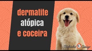 Dermatite Atópica e Coceira em Cães e Gatos Veja uma análise completa 2018 [upl. by Inobe]