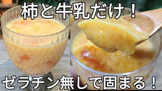 【柿プリン】柿と牛乳だけ！ゼラチン無しでプルンと固まる！SNSで話題のやさしい甘さの簡単デザート！ [upl. by Tibold]