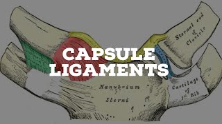 Capsule and ligaments [upl. by Michaeline]