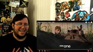 Gors quotWatership Down 2018quot Trailer REACTION [upl. by Lynus]