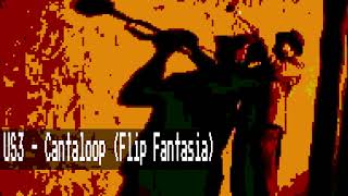 US3  Cantaloop Flip Fantasia 8 Bit Chiptune Raxlen Slice Remix [upl. by Licht398]