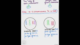 Haploid cell and Diploid cell shorts gurudham [upl. by Early]